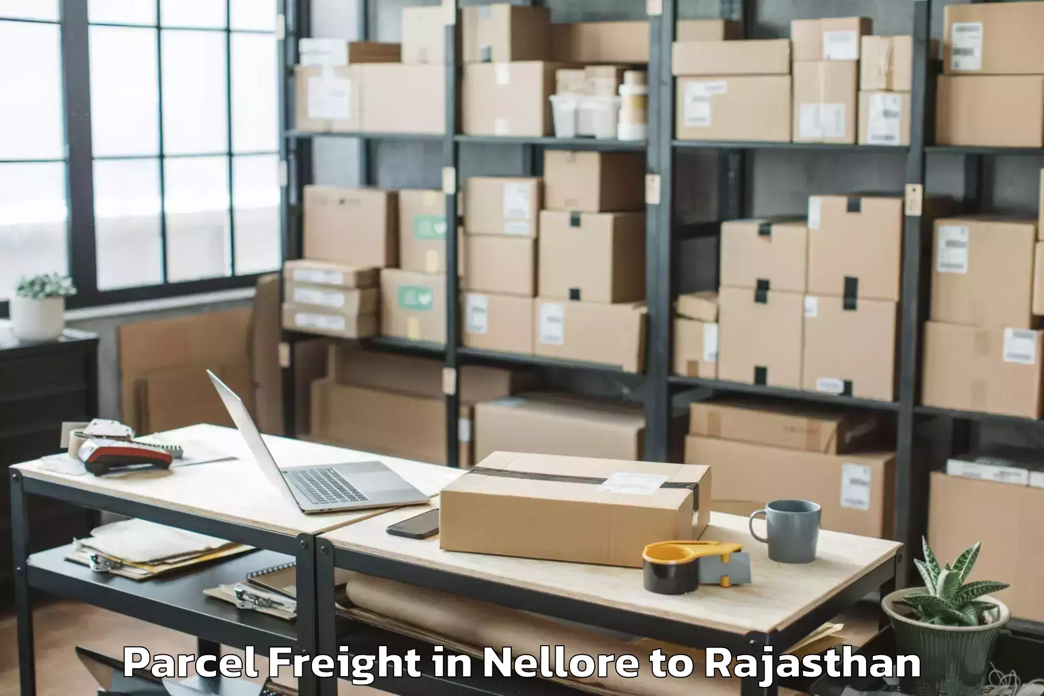 Book Your Nellore to Karauli Parcel Freight Today